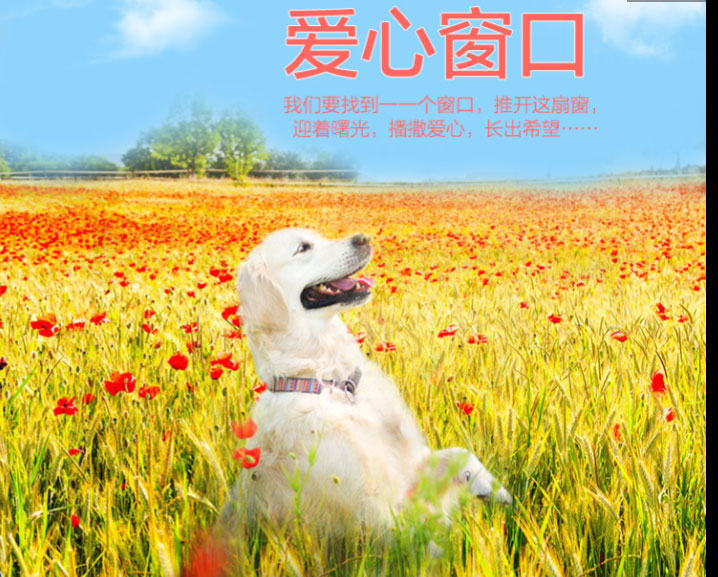 QQ图片20170319144238.jpg